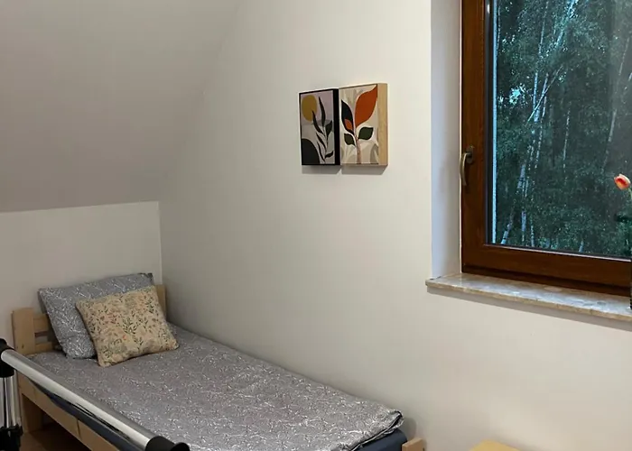 Tatil Evi Szyszki I Motyle